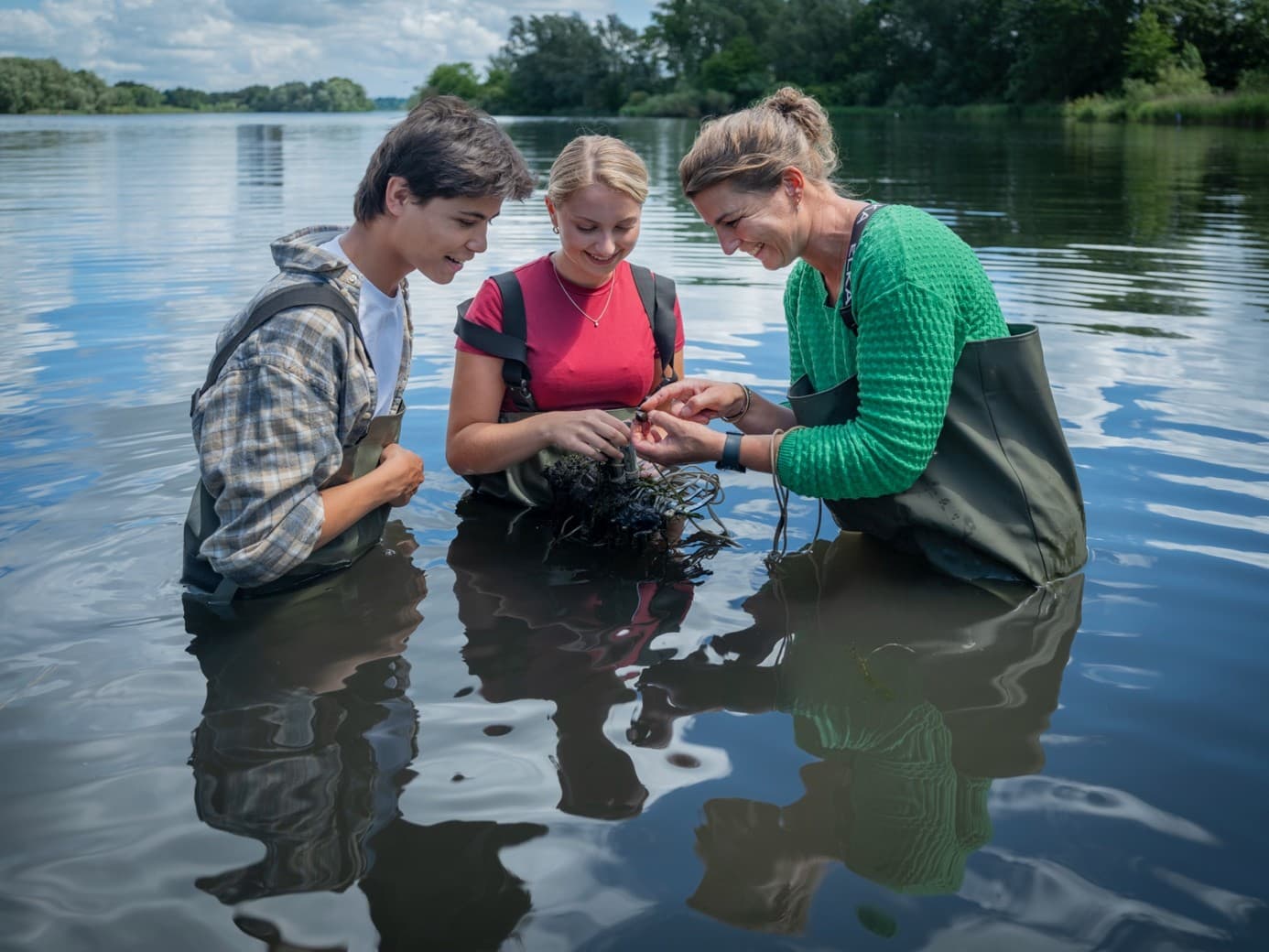 Drie studenten bekijken waterplanten terwijl ze tot hun middel in het water staan