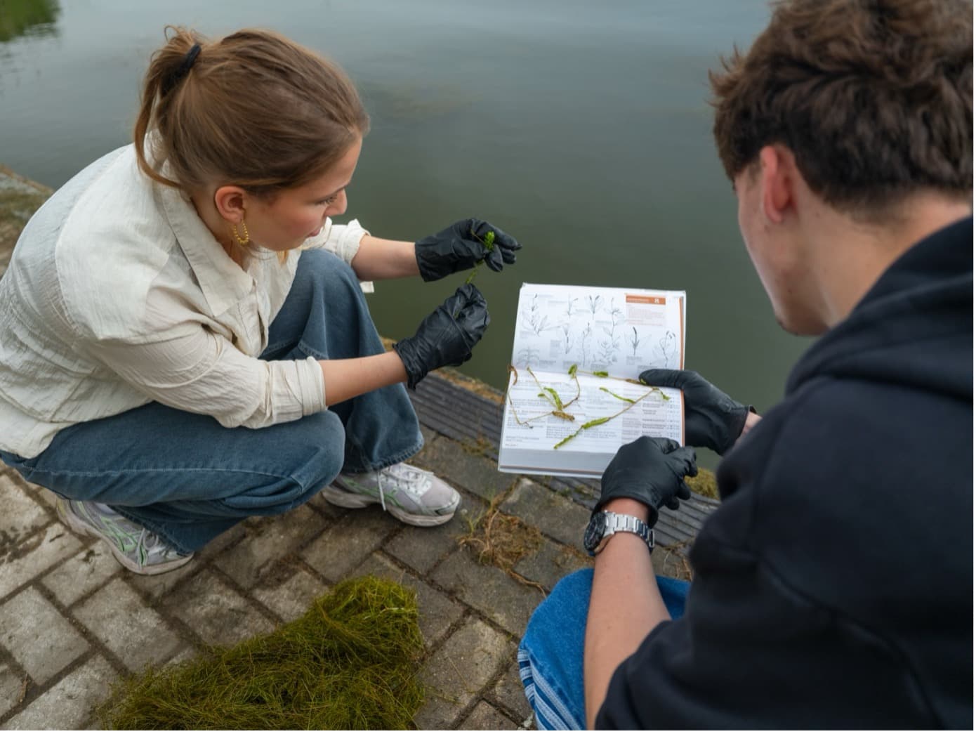 Twee studenten determineren waterplanten met een veldgids aan de waterkant